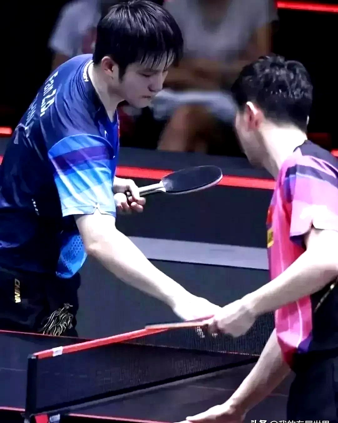 波兰队横扫中国队，马龙关键制胜