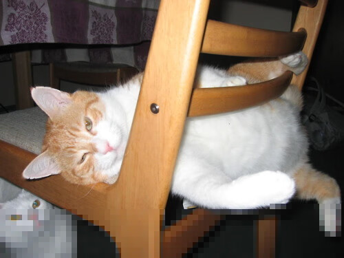 逆转与接管，篮球场上的跨洋共鸣