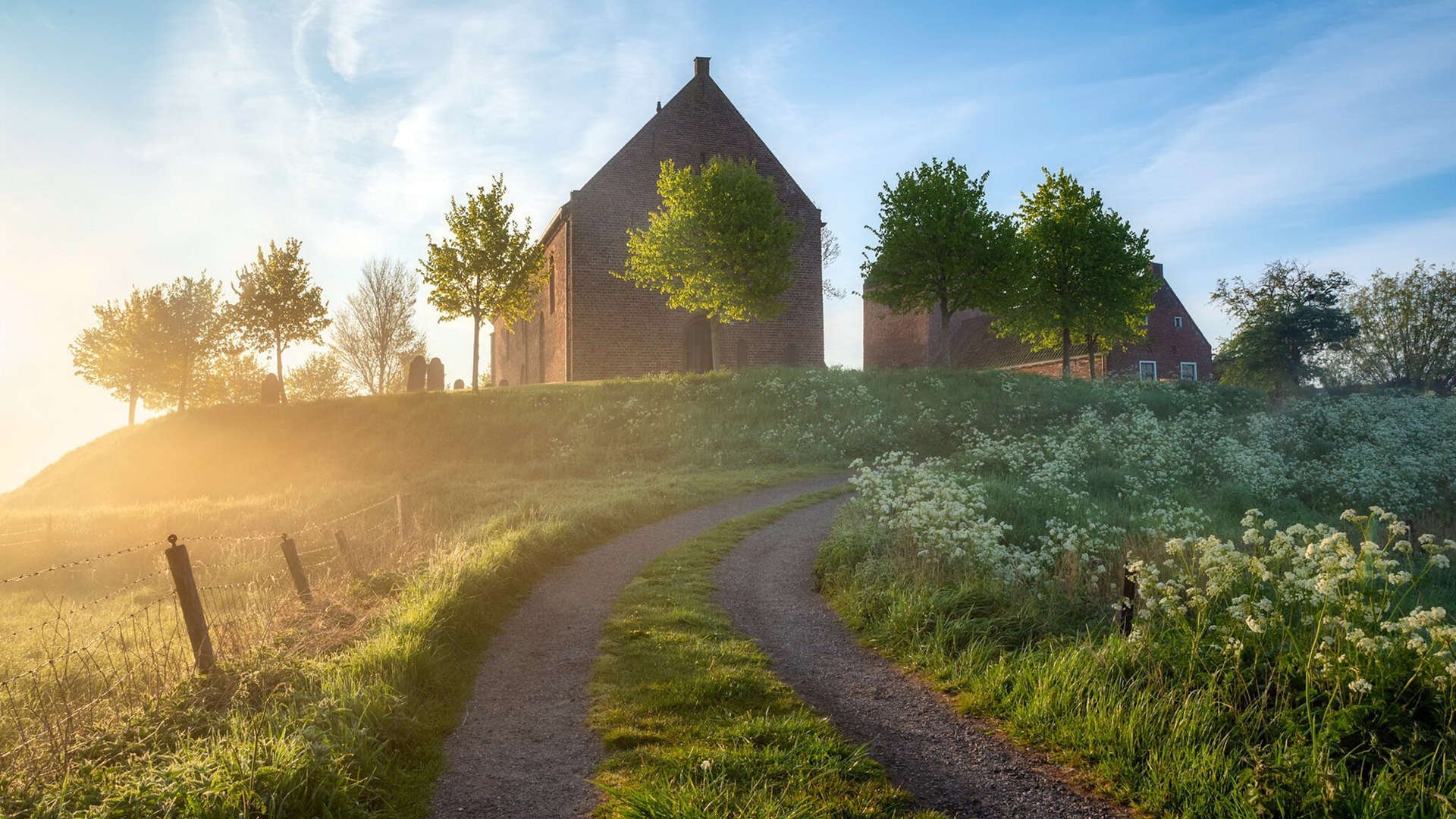 德甲争冠战之夜,厄德高如稳态核心,精密信号永不中断