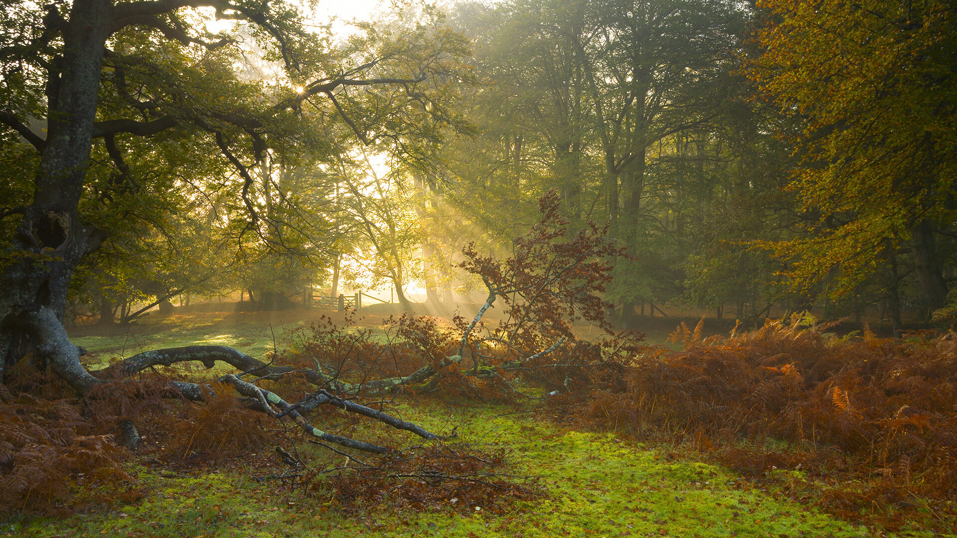 跨界传奇，拜仁生死战胜伊拉克，卡瓦哈尔NBA季后赛独领风骚