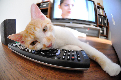 当东方铁壁遭遇西方魔法,欧文用一双球鞋丈量两个世界的距离