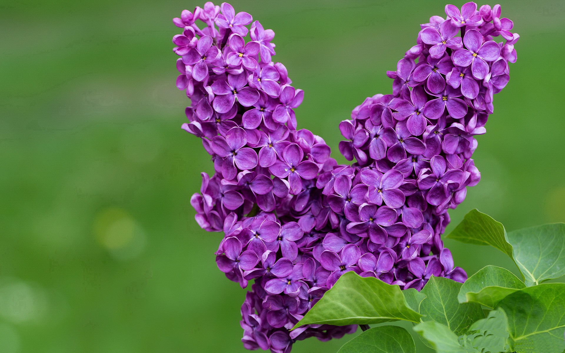 那一夜,安联的星河为他倒流