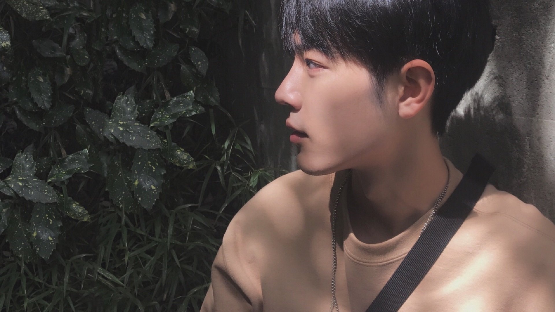 穹顶之上,当开拓者狂胜公牛的数据代码,撞见意甲焦点战的数据幽魂