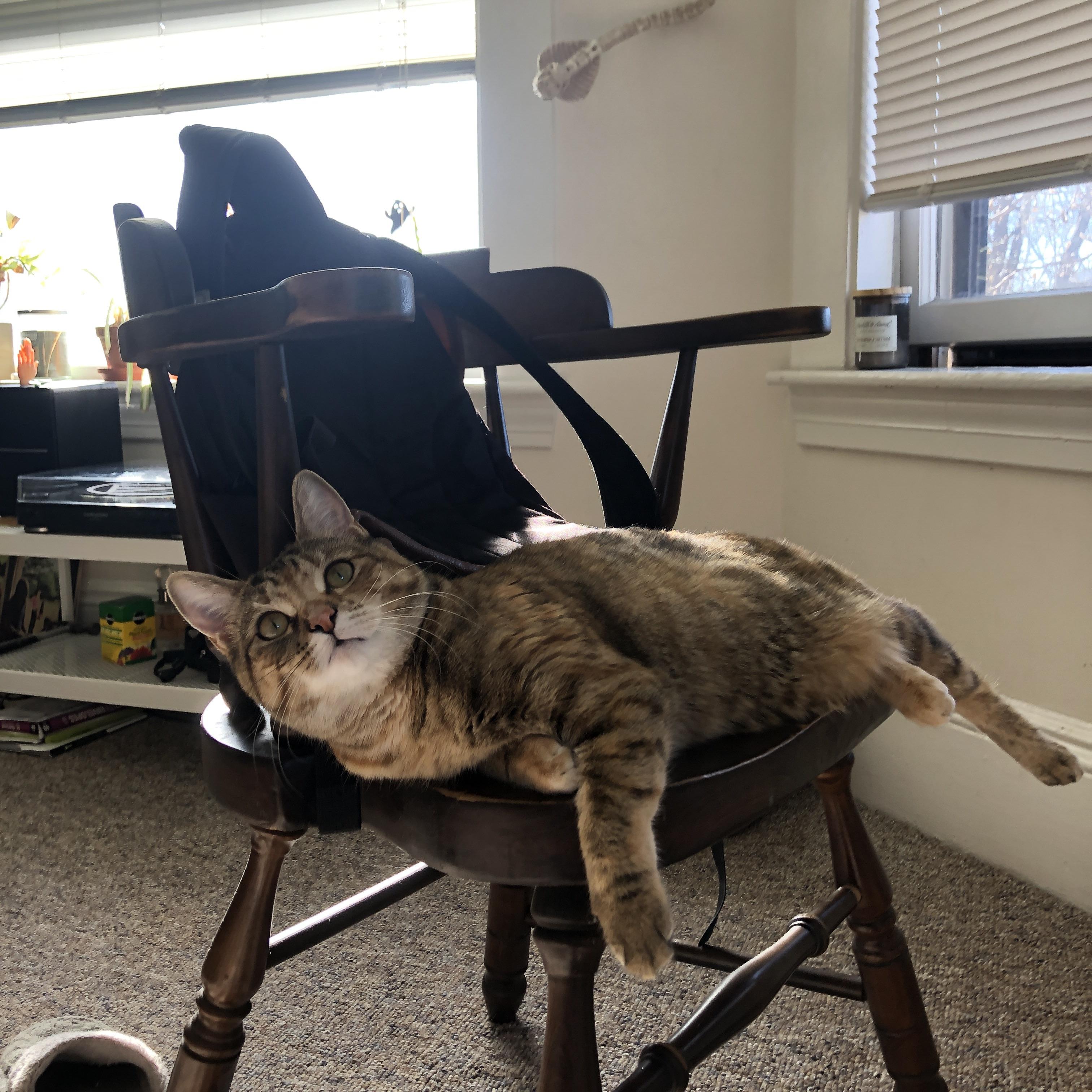 哈登撕掉标签的夜晚,掘金对阵上海,他让眼神防守成为历史传说