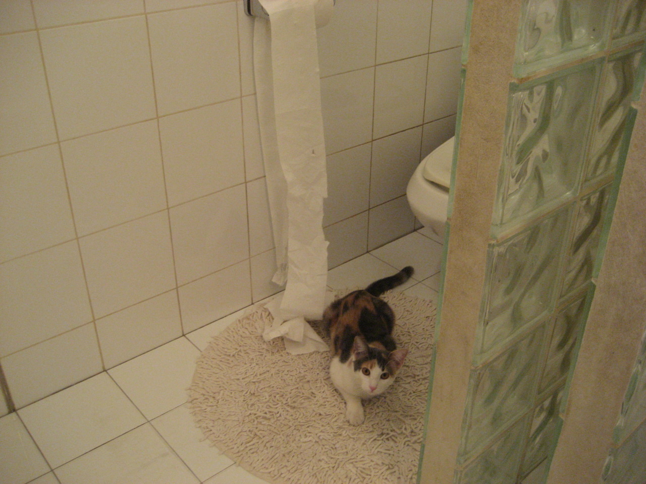 开云体育APP下载-欧冠剧本杀，维京战吼掀翻C罗遗产—挪威黑马冰川崩塌葡萄牙黄金王朝