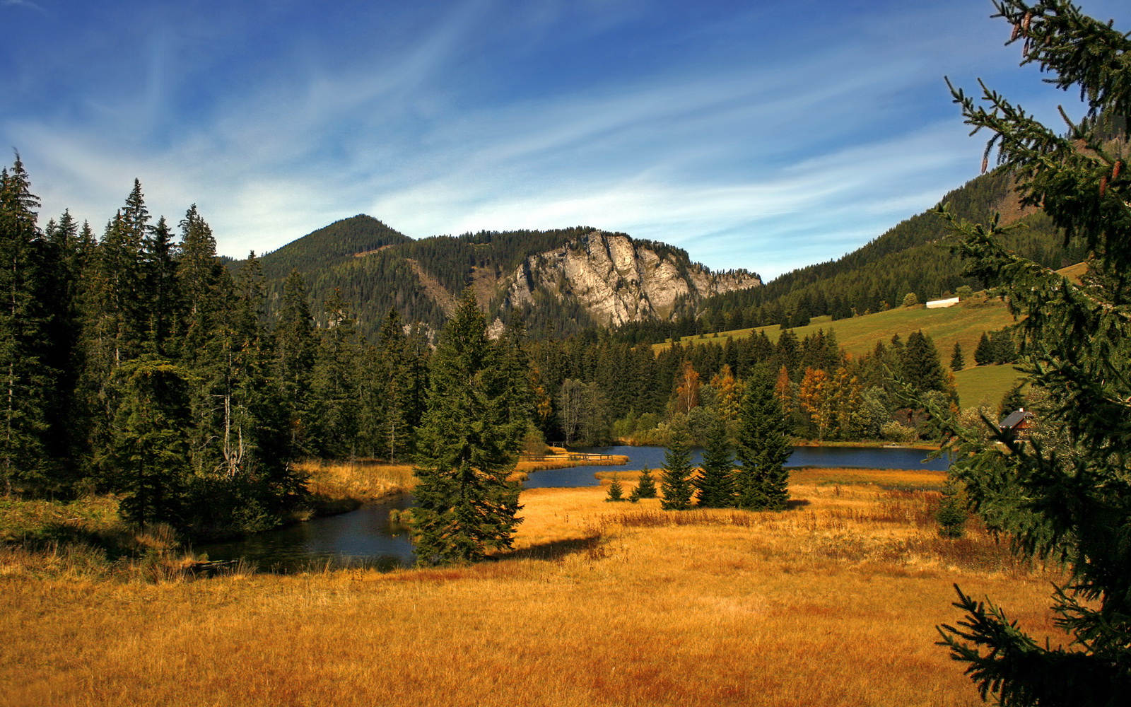 欧文的魔术，当马刺遇上北京，他用全场高能输出点亮比赛