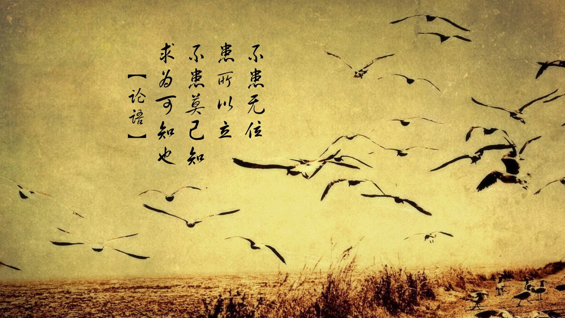 沙漠绿茵的奇迹之夜，当佩德里用足球的魔法，为卡塔尔写下唯一的神话