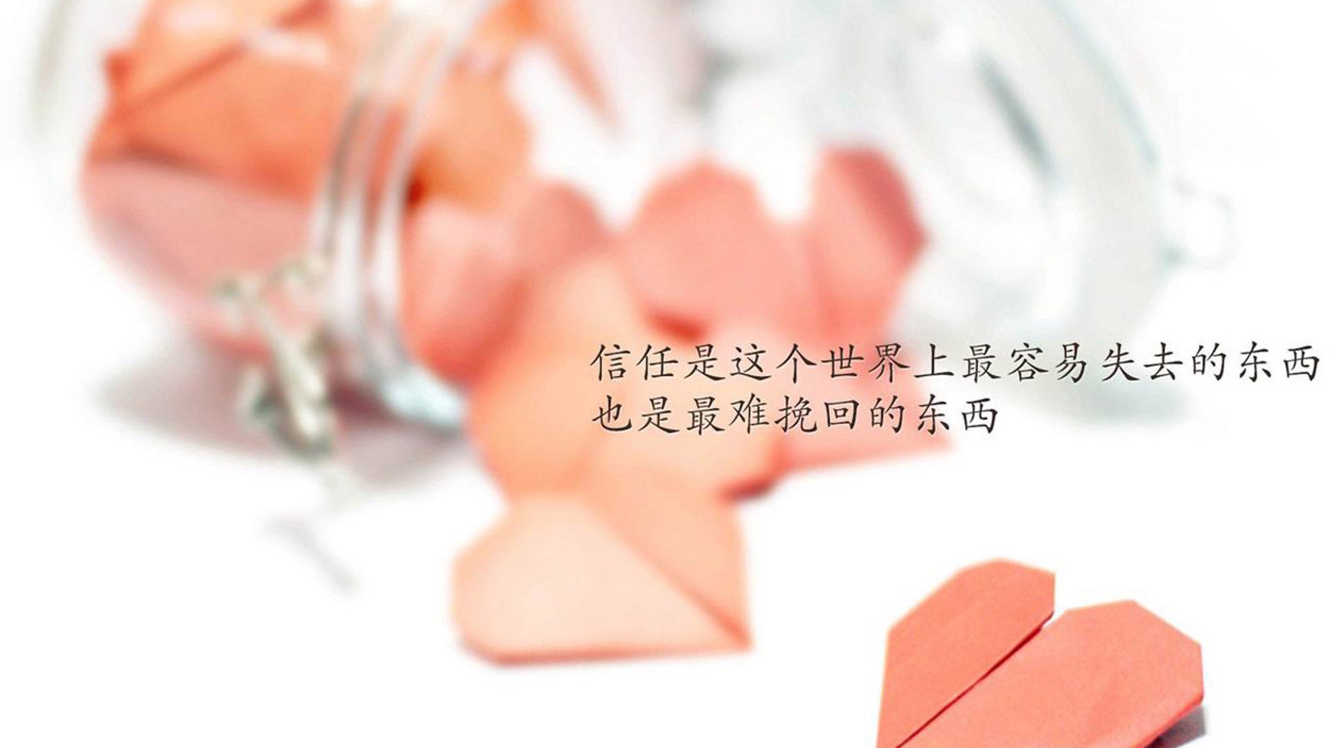 安第斯山脉与落基山的对撞,当凯恩的手术刀划破美洲杯宿命,铸就F组唯一解
