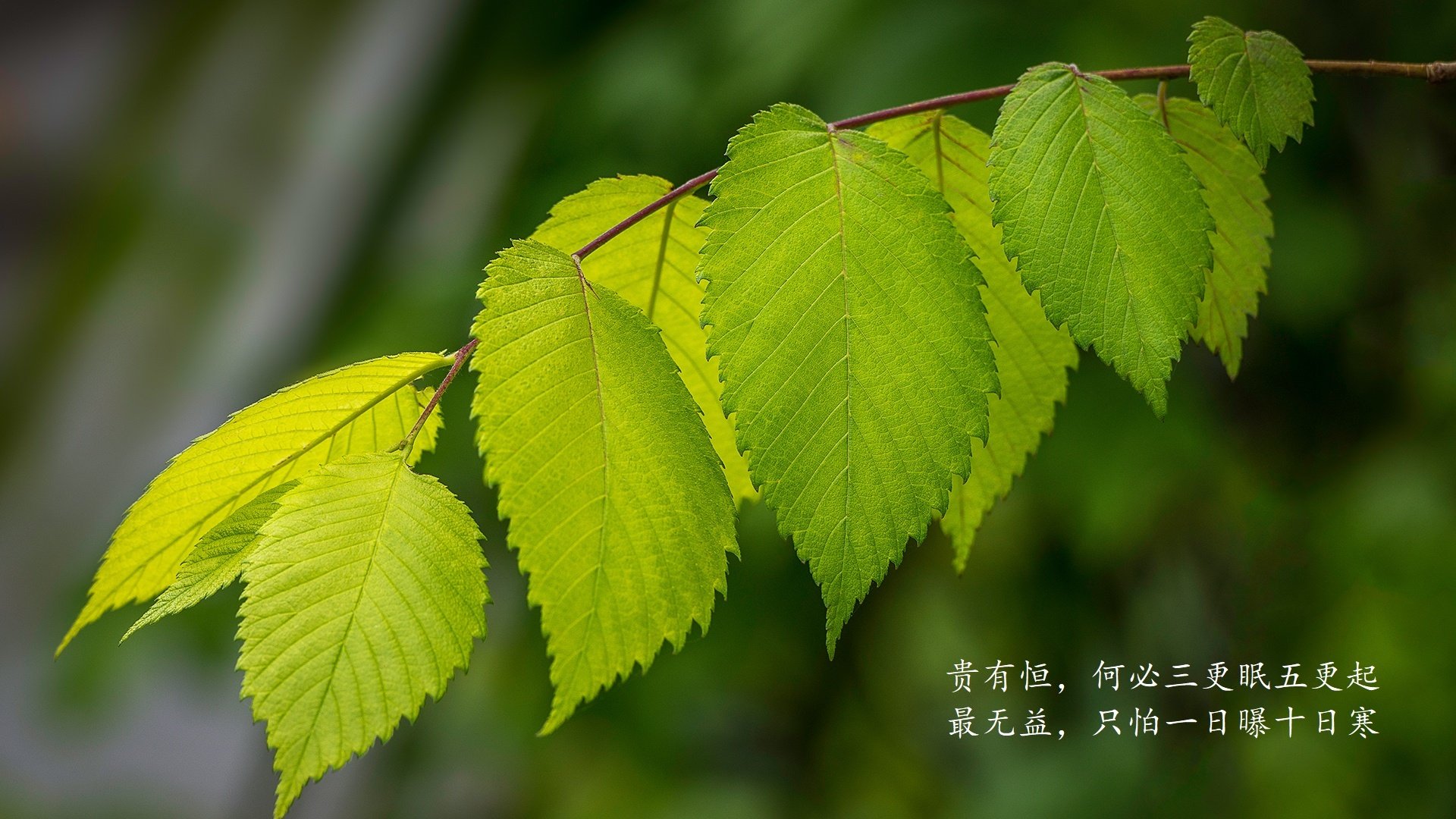 神之一脚，2026世界杯A组，卢卡库压哨绝杀，印度队破茧成蝶